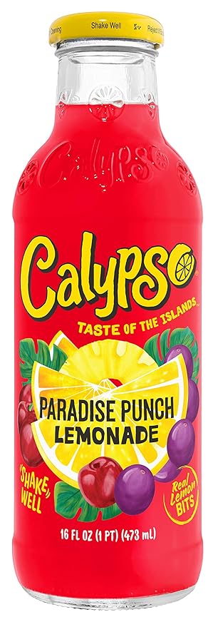 Calypso Lemonade 6 Flavor Variety Pack Made with Real Fruit 16 Fl Oz Glass Bottles (Pack of 6)