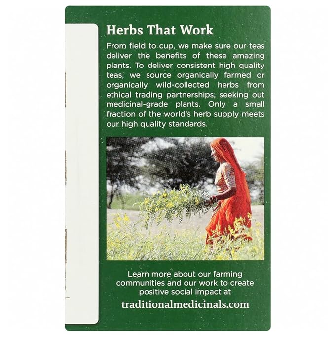 Traditional Medicinals Organic Ginger 16-Count Boxes (Pack of 6)
