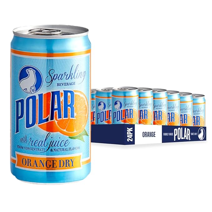 POLAR Dry Sparkling Soda Orange Flavor | Premium Cocktail Mixer Inspired by History | 24pk 7.5oz Cans