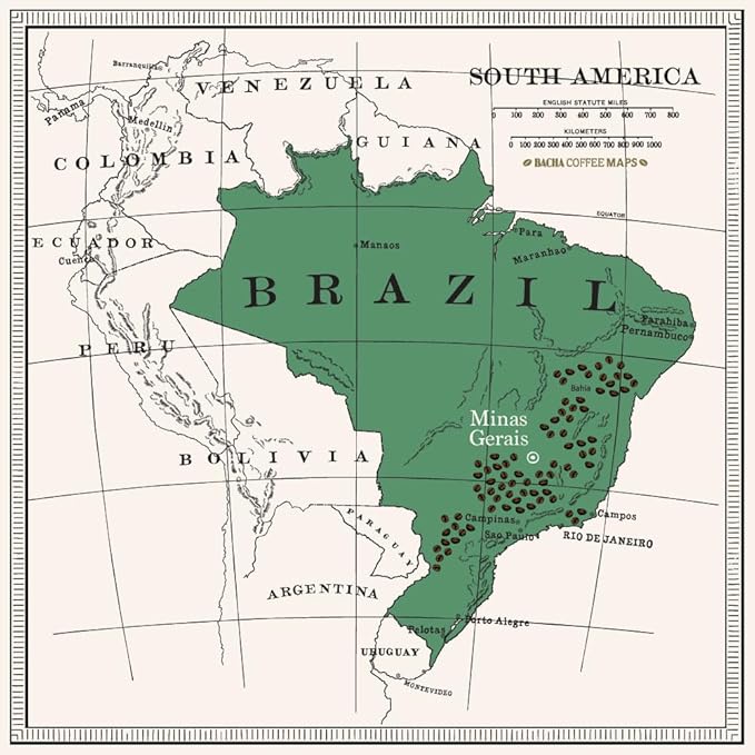 Bacha Coffee | Lagoa Brazil Single Origin Medium Light Roast 100% Arabica Specialty Coffee 12 Coffee Drip Bags Gift Box