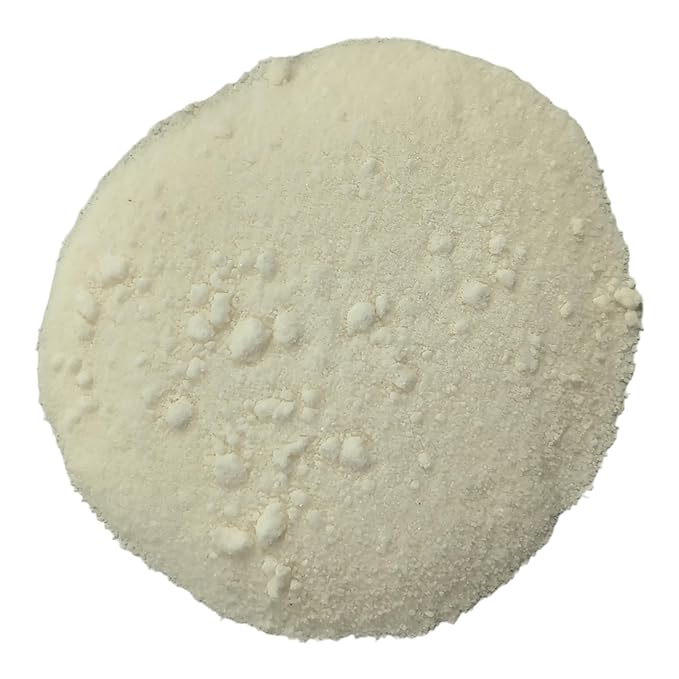 BuildASoil Coconut Water Powder for Garden - Raw Freeze Dried Organic (2 lb)