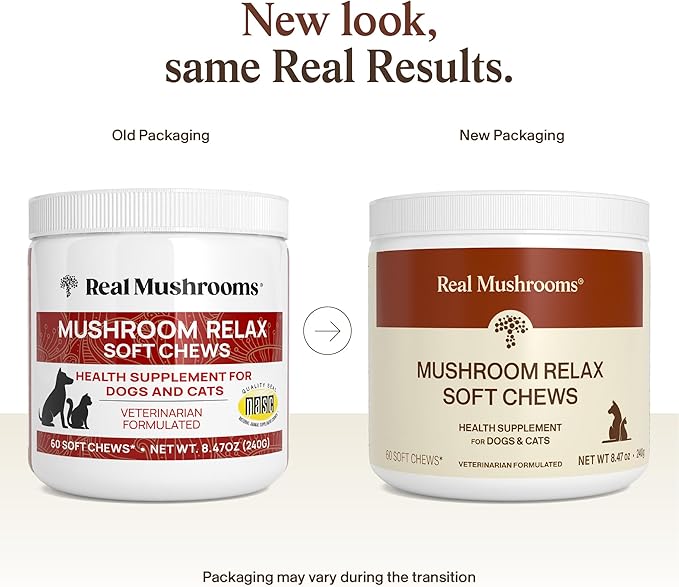 Calming Chews for Dogs &amp Cats – Soft Chews with Reishi &amp Lion’s Mane for Daily Composure – for All Breeds &amp Sizes – Calming Treats for Dogs: 1 Chew/20 lb Daily Cats: ¼ Chew Twice Daily –