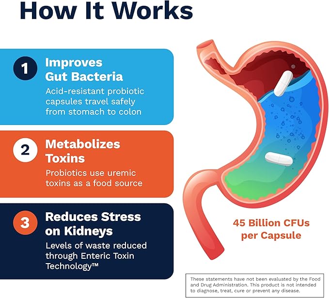 Renadyl Kidney Probiotic Supplement | Urea Creatinine &amp Uric Acid Support | 45 Billion CFUs | Clinically Tested Non-GMO &amp Made in USA 180 Capsules (3 Bottles 3 Month Supply)