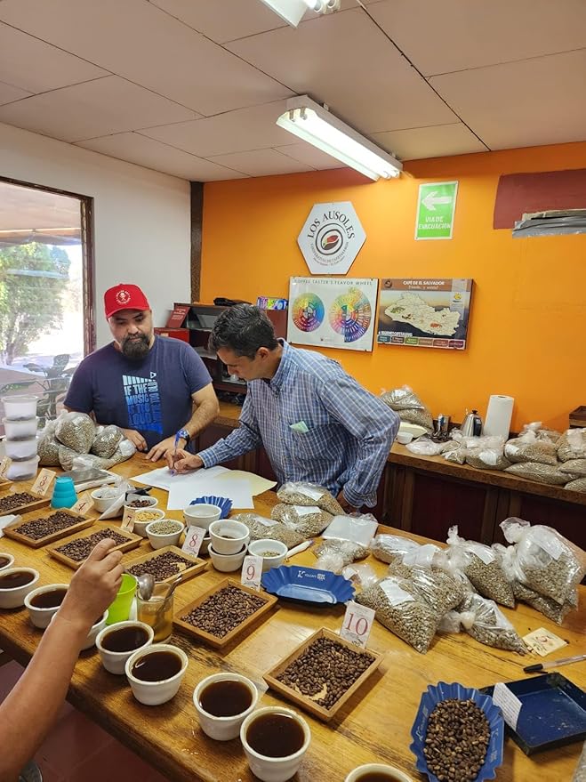 Tesoros Del Pais Green Unroasted Coffee Beans Ahuachapan El Salvador Single Estate High Elevation (10 lb Wet Milled)
