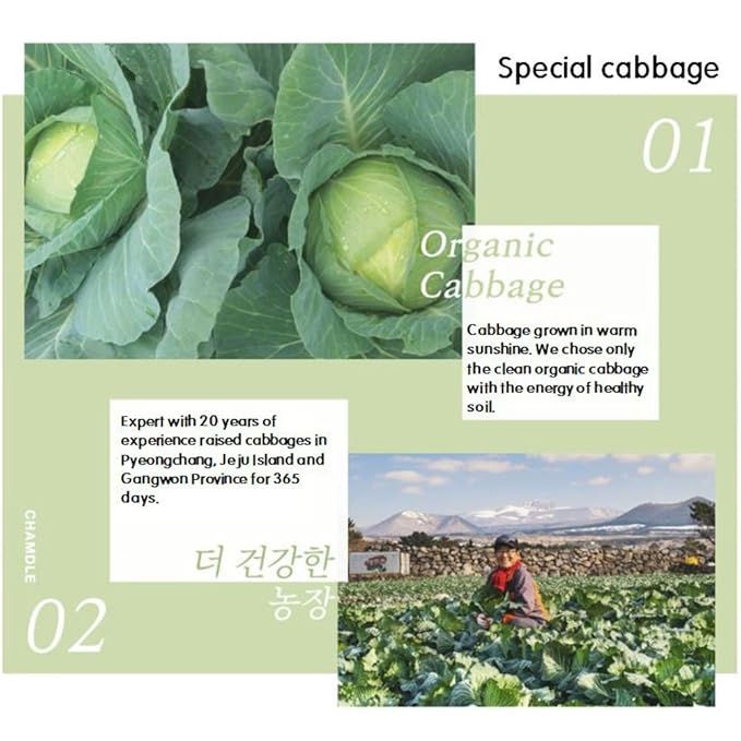 Organic Cabbage Juice Packs 10 Packs [100Ml]/Gift/Health Food/Drink/Parents/Children/Special Price/Concentrate/Vegetable Juice