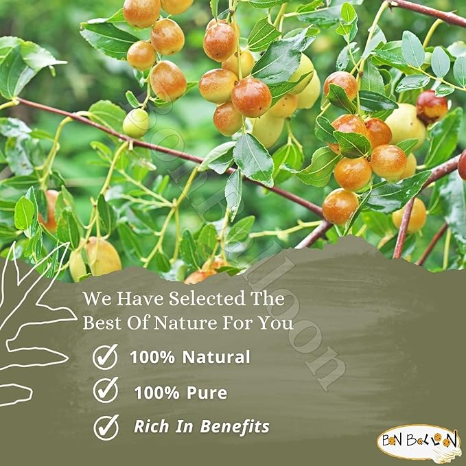Wholesale Seder Sidr Dried Broken Leaves Leaf ( Lote Tree Jujube Ziziphus Spina Christi Christ Golchin Lotus ) Natural Herbs For Hair And Care Body No Preservatives Non Gmo Halal Kosher (15 oz / 425