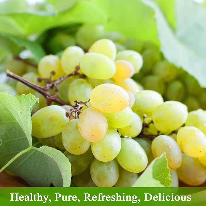 De La Rosa Organic White Grape Juice Kosher Non-GMO &amp Gluten Free No Preservatives or Sulfites Vegan White Grape Juice 25.4 Oz Glass Bottle (Pack of 6)