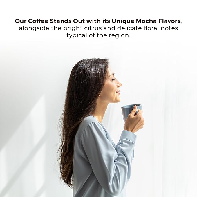 Guzzling Goat Ethiopian Coffee Beans | Premium Medium Roast Coffee Whole Bean | Strong Flavorful Brew | Sourced &amp Roasted in Ethiopia