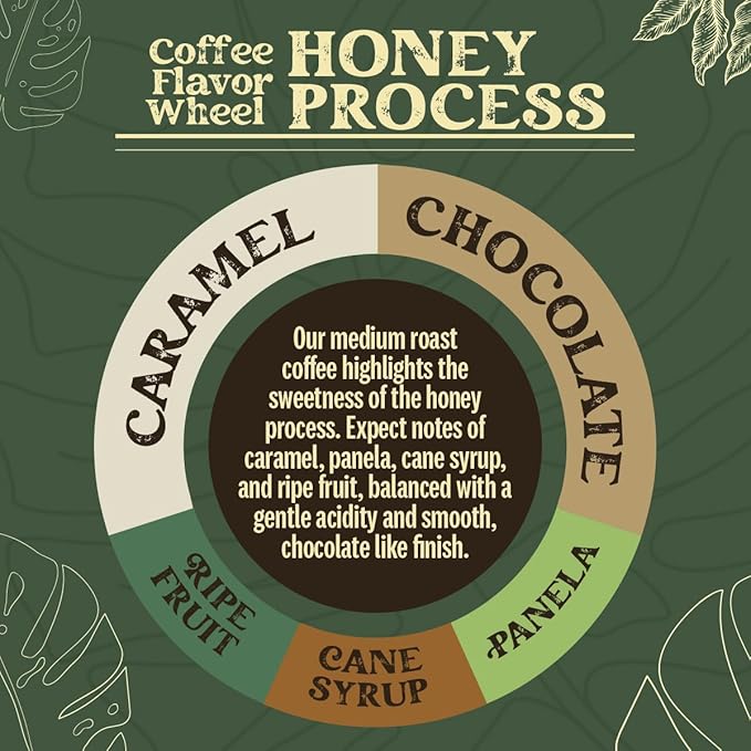 Kwiso Coffee Honey Process Tarrazu Costa Rica Single Origin Arabica 17.6 oz Ground Coffee Medium Roast Gourmet Specialty 500 g