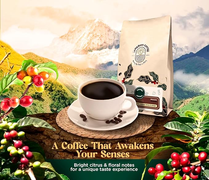 Samarian Coffee Light Roast – Colombian Single-Origin Arabica – Specialty Ground Coffee with Citrus &amp Floral Notes – Smooth &amp Aromatic – For Pour Over French Press Chemex V60 – 12oz Bag