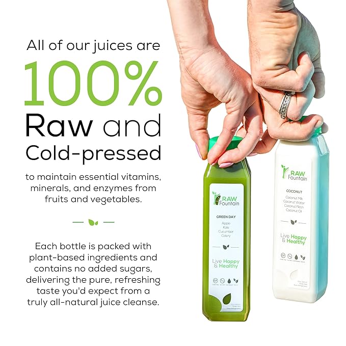 1 Day Juice Cleanse by Raw Fountain Tropical Flavors All Natural Raw Cold Pressed Fruit and Vegetable Juices Detox Cleanse Kosher Vegan NO Sugar Added 6 Bottles 12oz