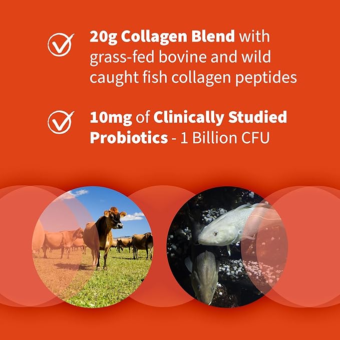 Garden of Life Marine &amp Grass-Fed Collagen Peptides Powder Supplement (Type I III) with Probiotics &amp BCAAs for Mobility Joint Health Hair Skin &amp Nails - Unflavored 20g per Serving 12