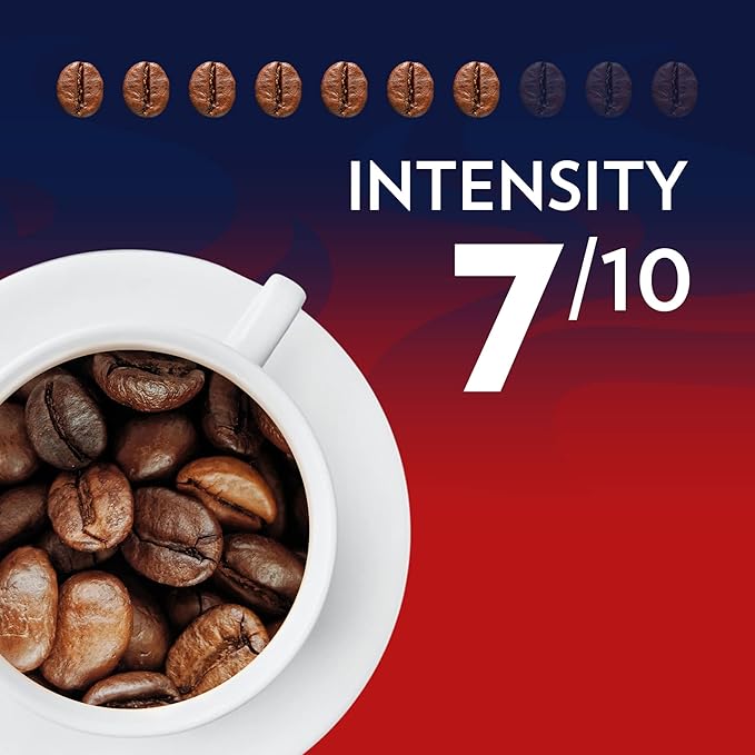 Lavazza Crema e Gusto Ground Coffee Medium Roast Arabica and Robusta Blend 8.8 oz Brick (Pack of 20)