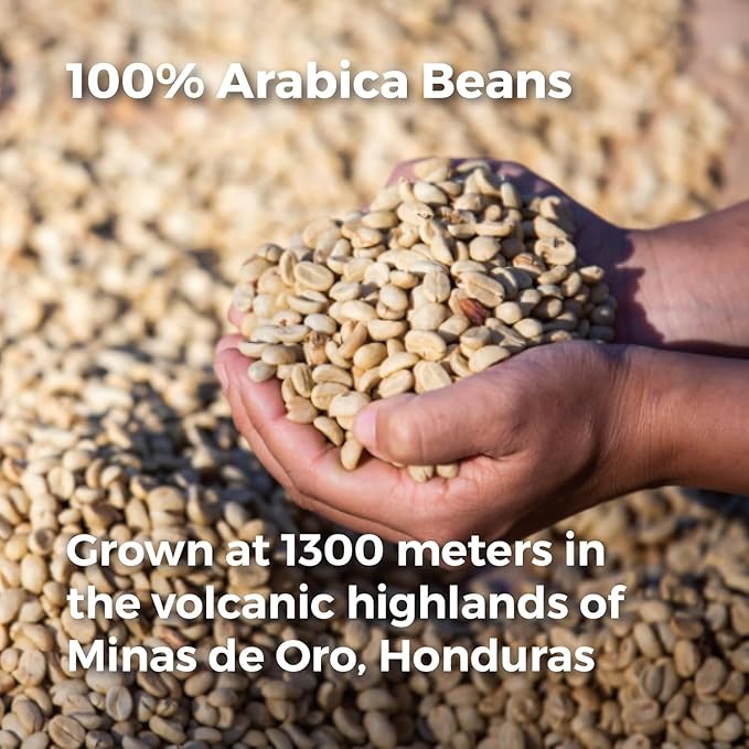 Don Memo Premium Ground Coffee – Single Pack – 2 lb Bag – Medium Roast – 100% Arabica from Honduras – Single Origin – Fresh Roasted &amp Ready to Brew – Family-Owned &amp Ethical