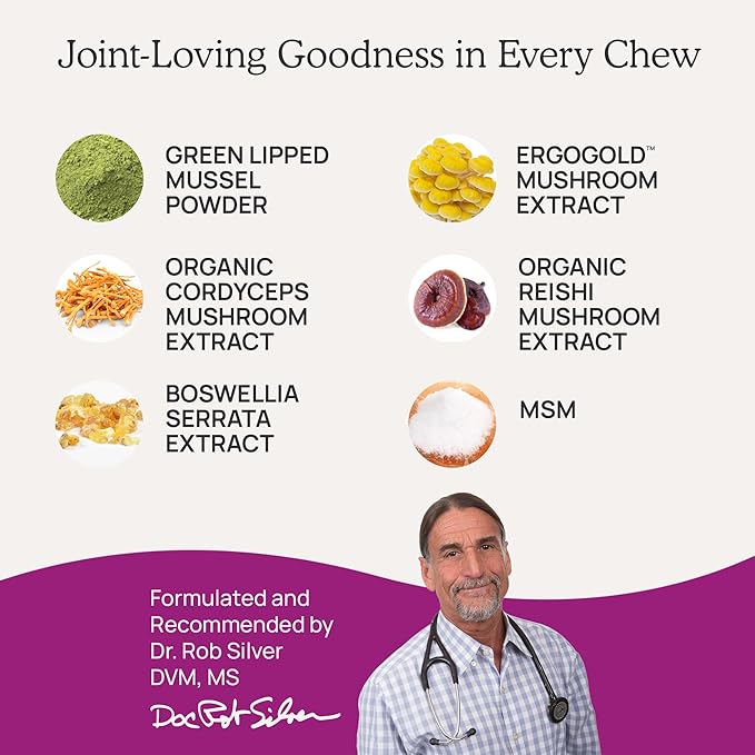 Real Mushrooms Mobility Chews for Dogs &amp Cats – Green Lipped Mussel &amp ErgoGold Mushroom Blend – Dogs &amp Cat Vitamins Treats for Active Routines – Joint Hip &amp Flexibility Support – 240