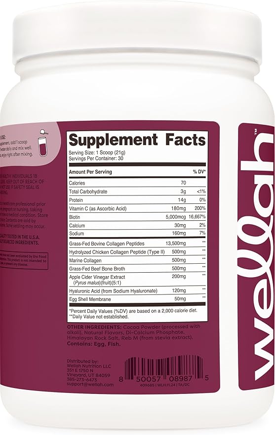 Wellah The Afterglow Multi Collagen Protein + Beauty (Dark Chocolate Flavored) 30 Servings