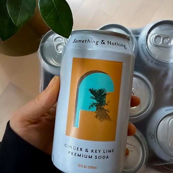 Something &amp Nothing Ginger &amp Lime Flavoured Sparkling Water | Lightly Carbonated Full Flavoured with Added Grape &amp Lemon Juice | Vegan &amp Low Calorie Soda | 12 Fl Oz Cans (Pack of 12)