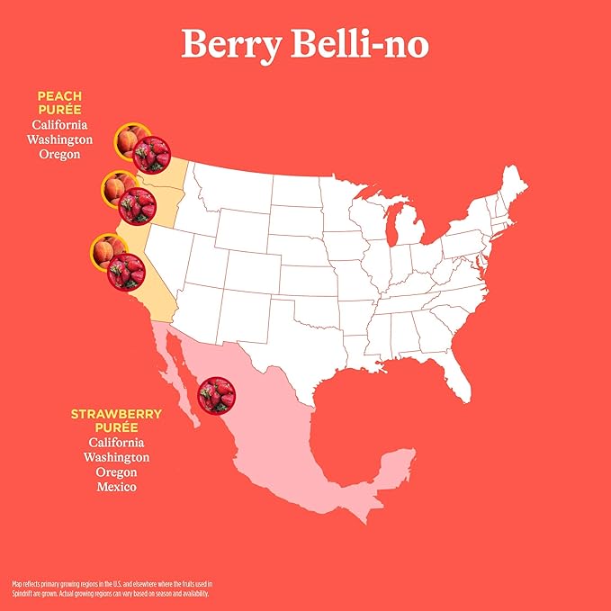 Spindrift Sparkling Water Berry Belli-no Flavored Made with Real Squeezed Fruit 12 Fl Oz Cans Pack of 24 (Only 13 Calories per Can)