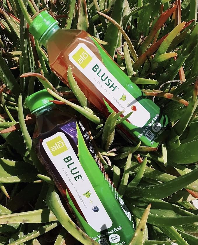 ALO Aloe Vera Juice Drink | BLUSH - Aloe Vera + Strawberry | 16.9 fl oz Pack of 12 | Plant-Based Drink with Real Aloe Pulp