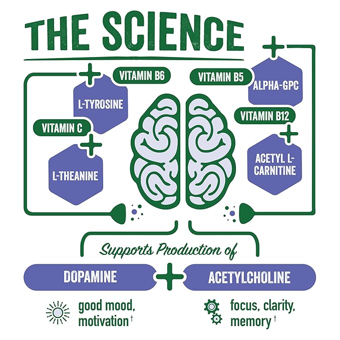 Brainjuice Brain Health Support Drink for Energy &amp Focus Vitamin C B5 B6 &amp B12 L Theanine Alpha GPC &amp Natural Caffeine From Green Tea Vegan Gluten Free Lavender Dragon Fruit 12 Oz