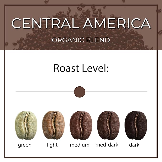 The Bean Organic Coffee Company Central America and Mocha Java Medium Roast Whole Bean Coffee 16-Ounce Bag