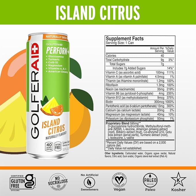 GOLFERAID Performance Blend Up Your Golf Game No Caffeine Glucosamine Turmeric MSM CoQ10 B-Complex BCAAs and Electrolytes 40 Calories 100% Clean Paleo Vegan 12 Fl Oz (Pack of 12)