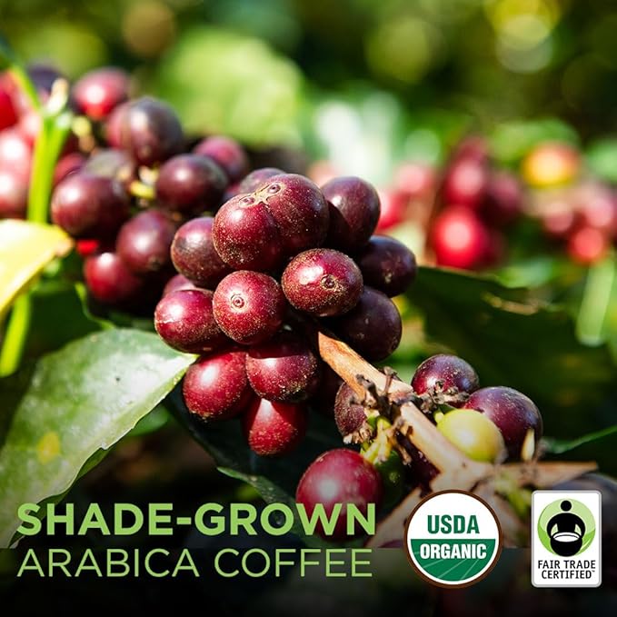 Tiny Footprint Coffee - Fair Trade Organic Peru APU Medium Roast - Whole Bean Coffee USDA Organic &amp Carbon Negative - You Drink Coffee We Plant Trees 16 Ounce9849109 (Pack of 2)