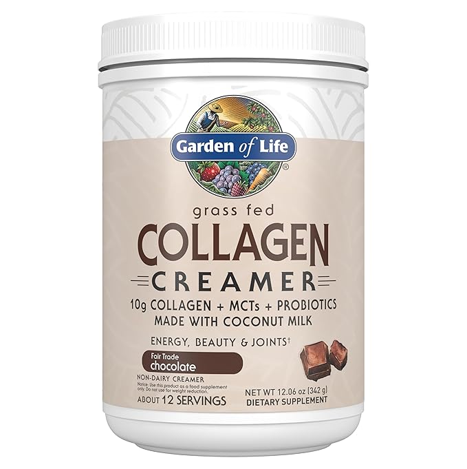 Garden of Life Grass Fed Collagen Creamer Powder - Chocolate 12 Servings Powder for Coffee Energy Beauty Joints Collagen Peptides with Coconut MCTs Keto Protein Supplements