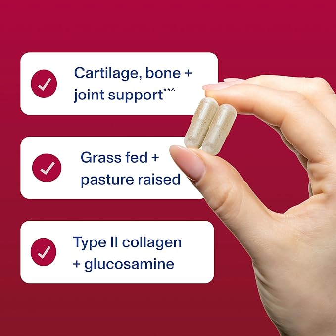 Vital Proteins Cartilage Collagen Pills Type II Collagen &amp Chondroitin Sulfate Supplement for Recovery &amp Healthy Hair Skin Nails and Joints - 750 mg Serving with 120 Capsules
