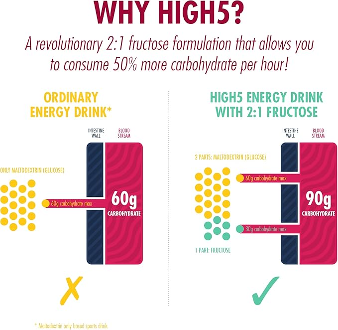 HIGH5 Energy Hydration Drink Refreshing Mix of Carbohydrates and Electrolytes (Berry 2.2kg)