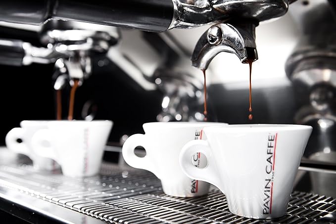 Italian Espresso Coffee Beans – Dark Roast Eccelso Pavin Caffè 1kg