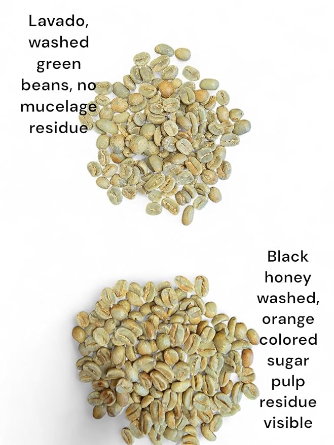 Tesoros Del Pais Green Unroasted Coffee Beans Ahuachapan El Salvador Single Estate High Elevation (Honey washed 5 lb)