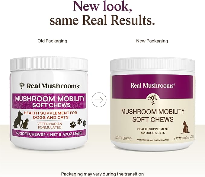 Real Mushrooms Mobility Chews for Dogs &amp Cats – Green Lipped Mussel &amp ErgoGold Mushroom Blend – Dogs &amp Cat Vitamins Treats for Active Routines – Joint Hip &amp Flexibility Support – 240