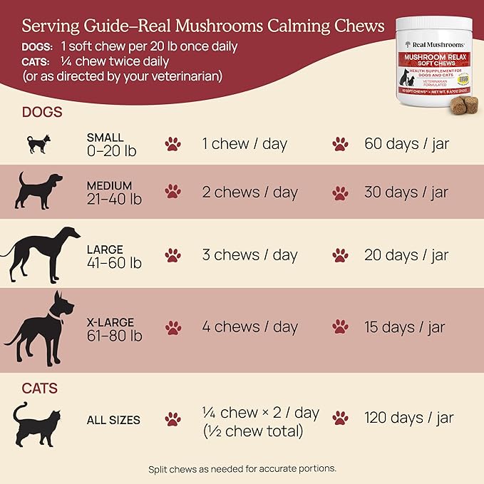 Calming Chews for Dogs &amp Cats – Soft Chews with Reishi &amp Lion’s Mane for Daily Composure – for All Breeds &amp Sizes – Calming Treats for Dogs: 1 Chew/20 lb Daily Cats: ¼ Chew Twice Daily –