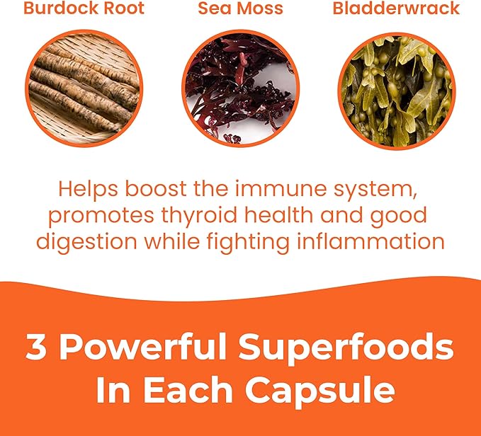 INFINITE AGE 1250mg Sea Moss Advanced Superfood Capsules 60 Count - High-Potency Vegan Made in The USA - Irish Seamoss Bladderwrack Burdock Root - Overall Health Immunity Support