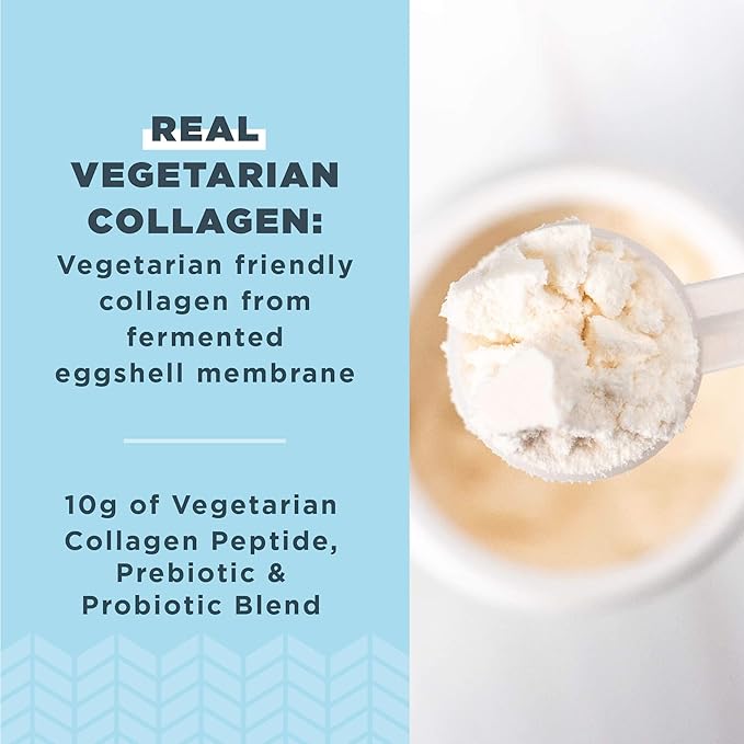 Ancient Nutrition Vegetarian Collagen Peptides Collagen Peptides Powder Collagen Powder with Natural Flavor Prebiotics and Probiotics Supports Healthy Skin Hair Joints Digestion 28 Servings
