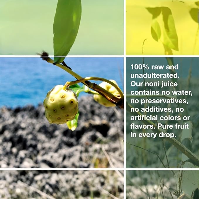 Frutos Pachamama Organic Noni Juice 100% Pure – Raw Ozonated Noni Extract from Dominican Republic | Natural Superfood Drink | Immune Booster &amp Anti-Inflammatory Support 1 Bottles 16Oz