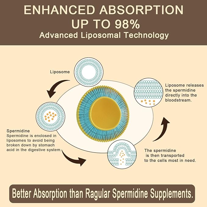 Spermidine Supplement 15 MG - 99% Purity High Absorption 1500 MG Fermented Wheat Germ Extract with Zinc &amp Thiamin Spermidine for Men &amp Women - Cellular Renewal Aging Defense Energy 60 So