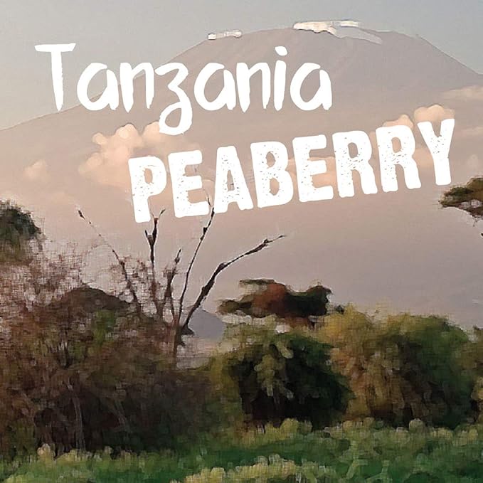 Aroma Ridge Tanzania Peaberry Coffee Mount Kilimanjaro Freshly Roasted Medium Whole Bean 16oz