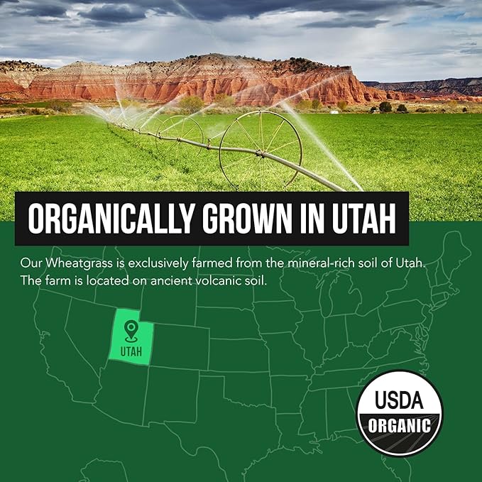 Organic Wheatgrass Juice Powder - Organically Grown in Volcanic Soil of Utah - Raw &amp BioActive Form Cold-Pressed Then CO2 Dried 20:1 Super Concentrate - Lemon (6.2 oz - 60 Servings)