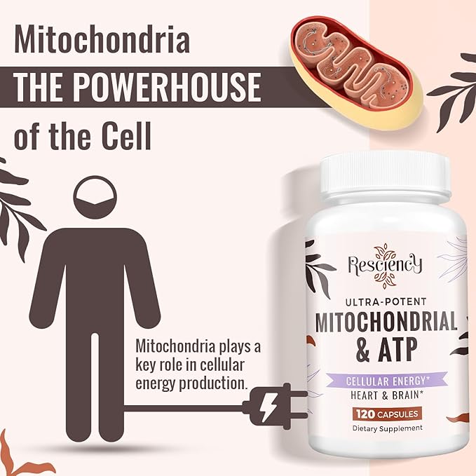 Resciency 2326 MG Mitochondrial Supplements with ATP Vitamins CoQ10 &amp PQQ More Effective Than Creatine HMB &amp Nitric Oxide Energy Endurance Strength Recovery &amp Muscle Organic 240 C