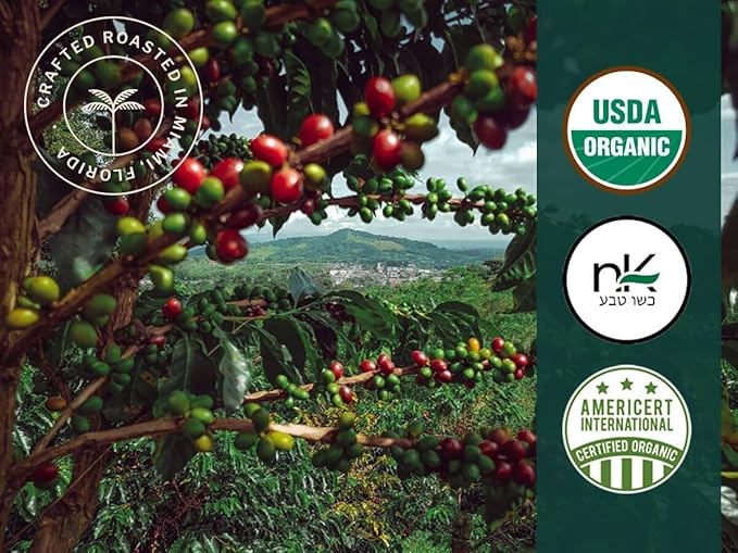 Artizan Coffee USDA Organic Espresso Coffee Capsules For Nespresso Original | Caramel Flavored | 120 Compatible Compostable Pods