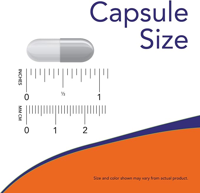 NOW Foods Now Acetyl L Carnitine 500mg 360 Veg Caps (Pack of 2) - Non-GMO ACL 500 mg Capsules Supplement for Men and Women