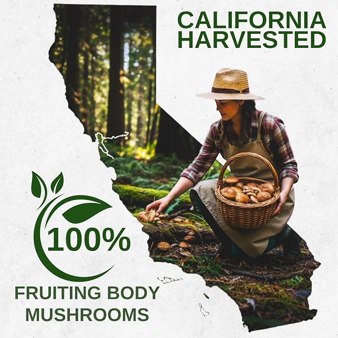 Kinoko USDA Organic Mushroom Coffee 30 Servings with MCT Oil Instant Creamy Coffee Mix with 7 Adaptogenic Mushrooms for Focus Energy &amp Wellness USA Grown