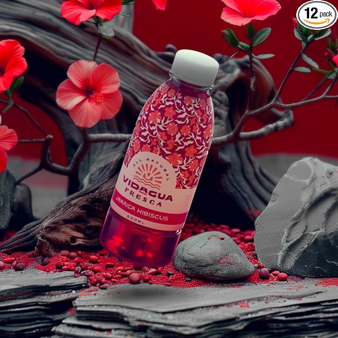 Vidagua Agua Fresca Jamaica Hibiscus Ready-to-Drink Fruit Beverage 16.9 fl oz Bottles Pack of 12