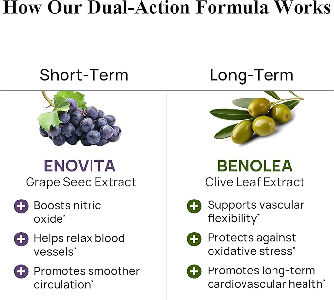 Durable Blood Pressure – Benolea Olive Leaf &amp Enovita Grape Seed Extract – Healthy Circulation Nitric Oxide &amp Artery Support – Doctor Formulated Vegan Non-GMO Made in USA (60 Capsules)