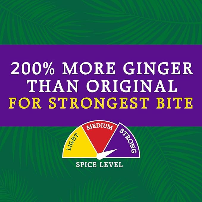 Reed's Strongest Ginger Beer - 3x Fresh Ginger Root for Intense Spice - 12oz Glass Bottles 12 Pack