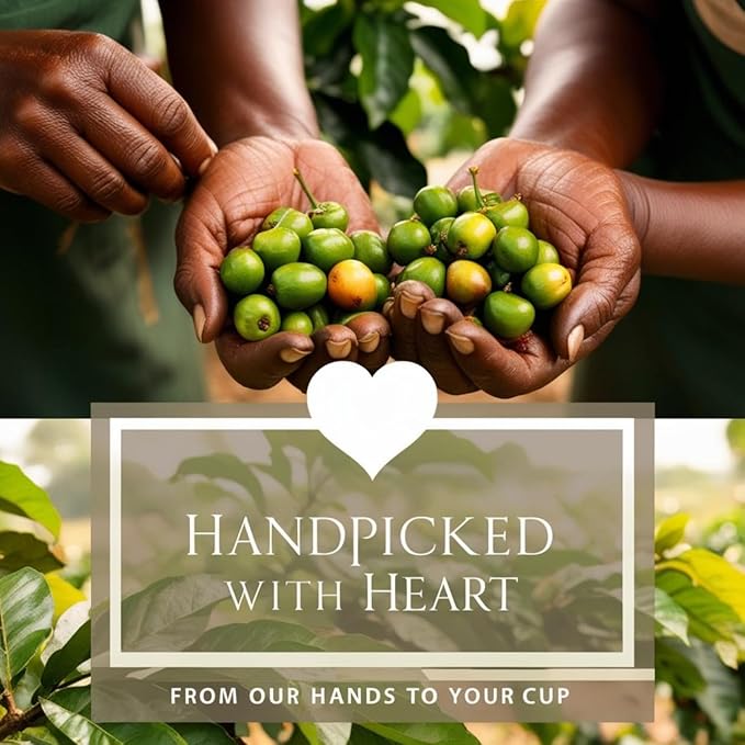 Current Crop Roasting Shop Haiti Marre Blanc Coffee Beans – Central Plateau Haitian Coffee – Smooth &amp Balanced Profile with Almond &amp Peanut Notes 3 lb bag
