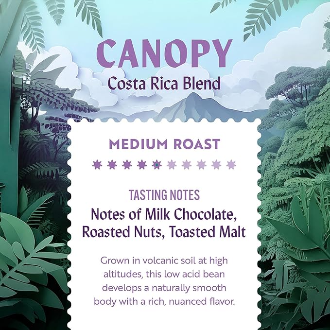 Clean Coffee Co. - Low Acid Medium Roast Tested for Molds and Toxins Costa Rica Blend Notes of Milk Chocolate Roasted Nuts Toasted Malt (Whole Bean 12 oz Bag)