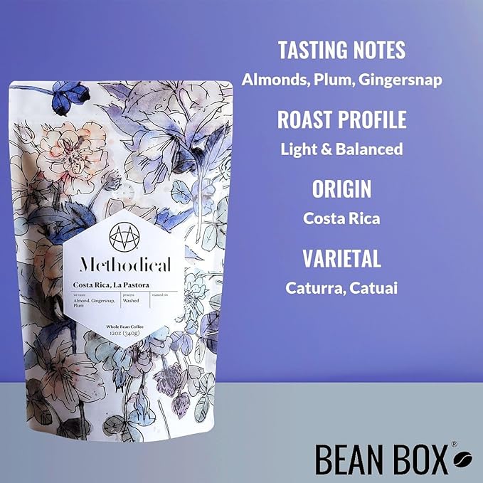 Costa Rica La Pastora - Roasted by Methodical Roasting - Whole Bean Coffee - 12 Ounce Bag